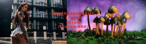 МДМА Михайлов