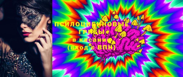 гашик Михайловка